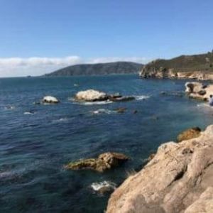 Meet your Posher, Margarita